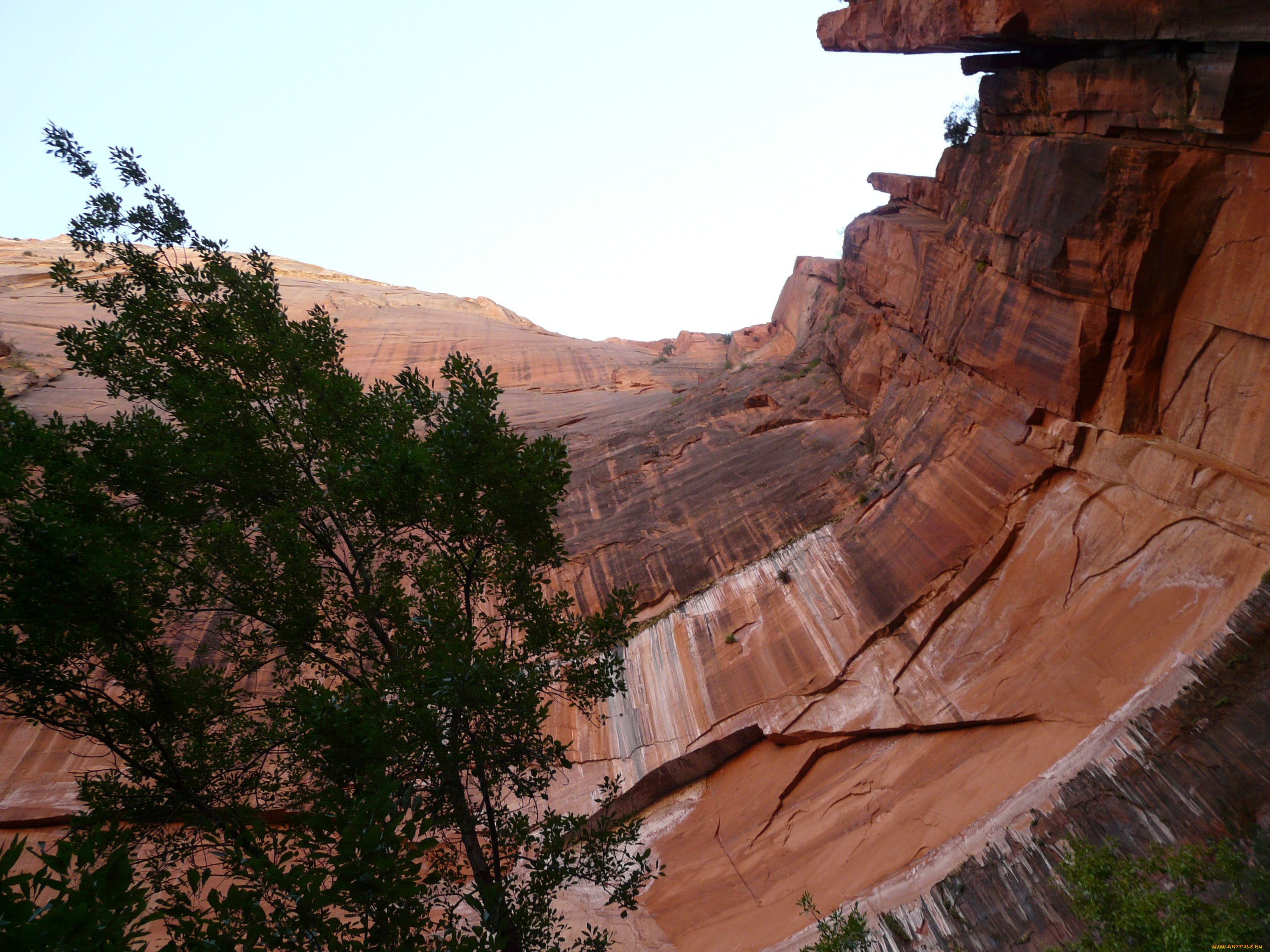 zion, national, park, , , , 